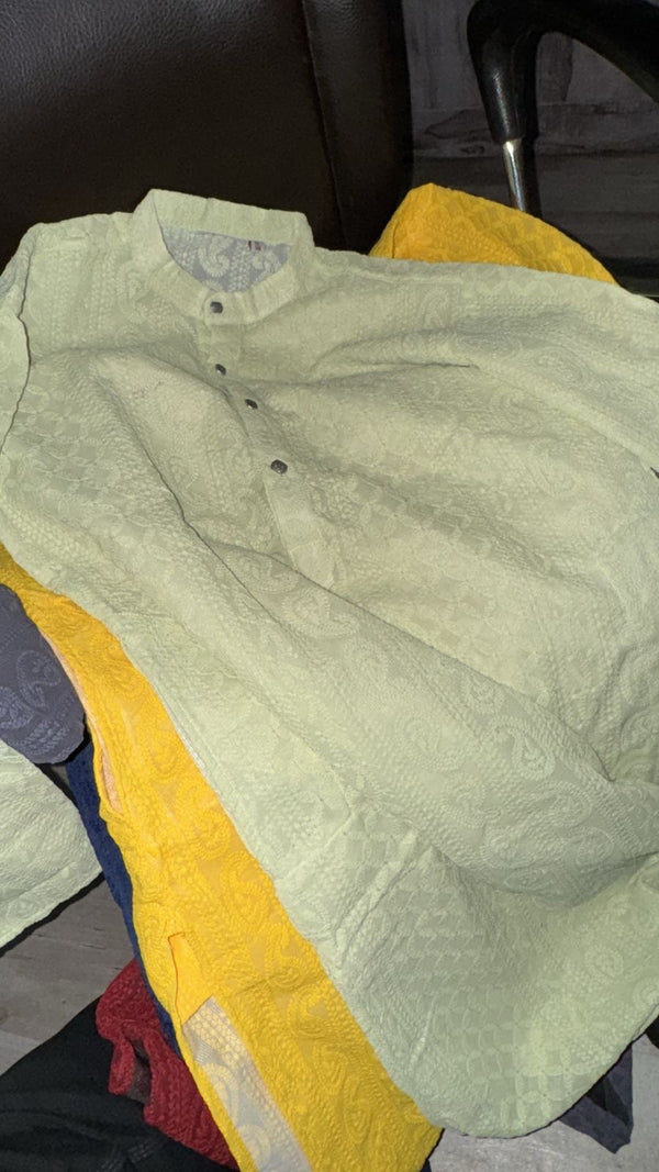 Premium Georgette Chikankari Kurta for Men with Fine Detailing - Pista Green